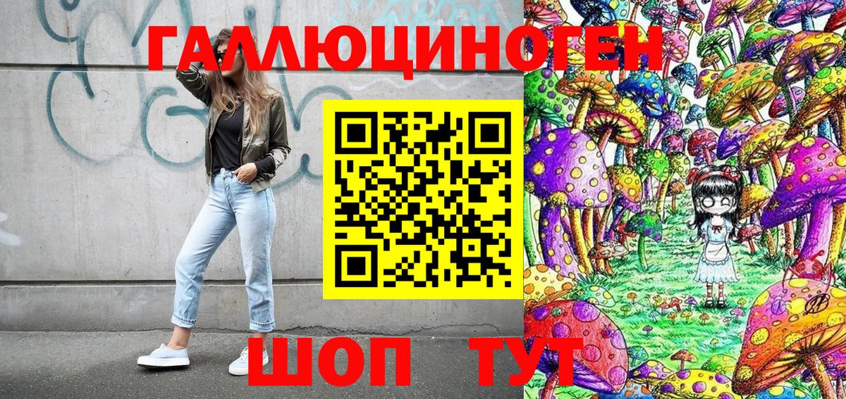 Псилоцибиновые грибы Cubensis Жигулёвск