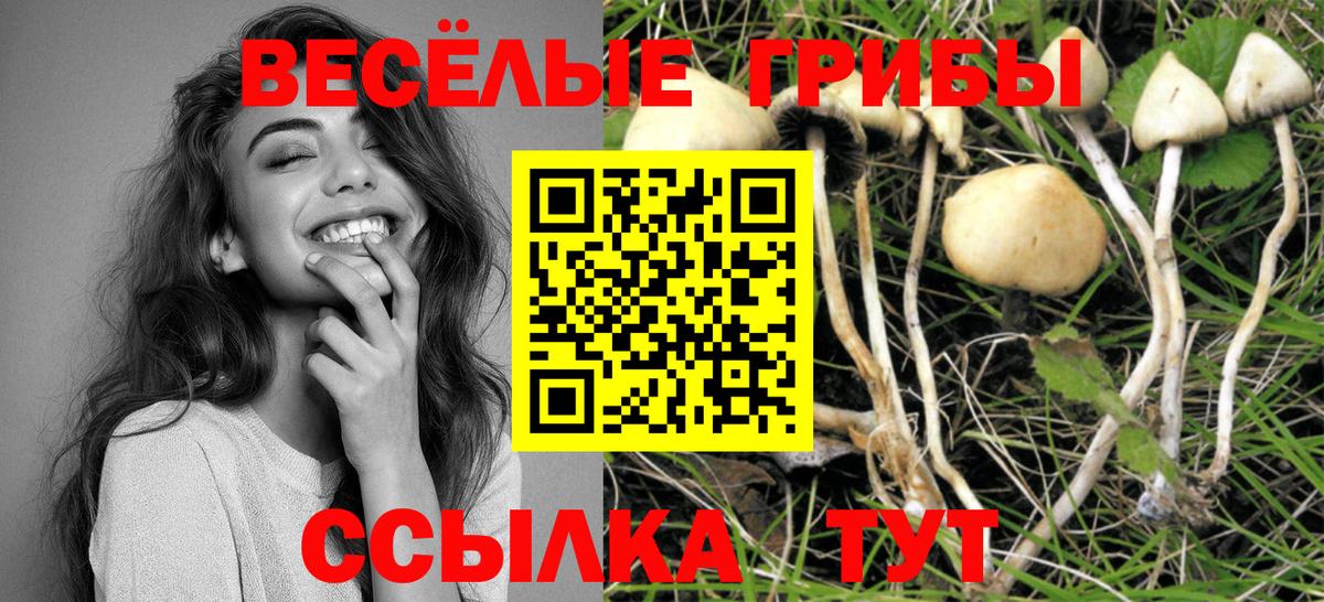 Псилоцибиновые грибы Psilocybe  Псилоцибиновые грибы Magic Shrooms  Жигулёвск  Вход с VPN 